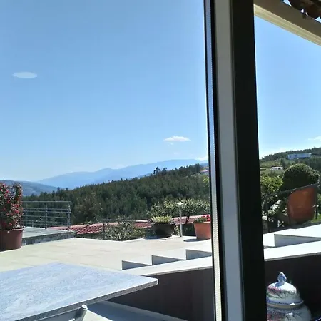 Colibri Do Alva